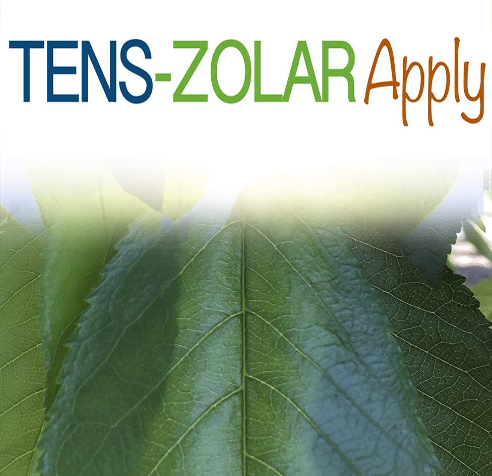 TENS ZOLAR-Apply® COD: L-004